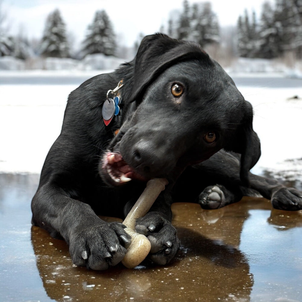 Hockey Stick Nylon Dog Chew Toy - Ultra-Durable for Aggressive Chewers USA
